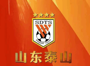 鲁能